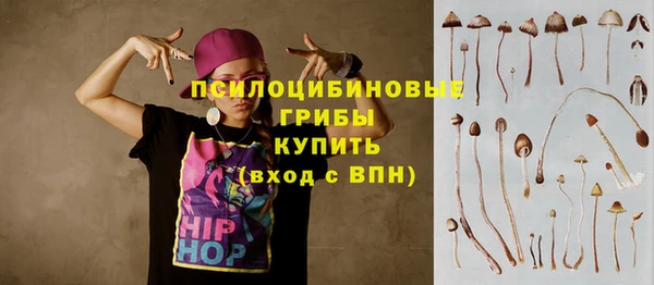 хмурый Алексин