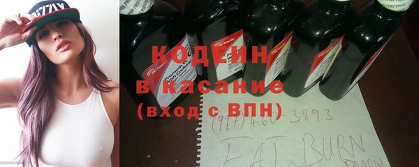 хмурый Алексин