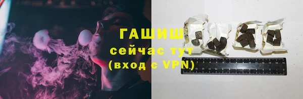 хмурый Алексин