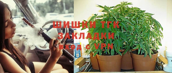 бошки Абаза