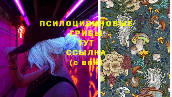 бошки Абаза