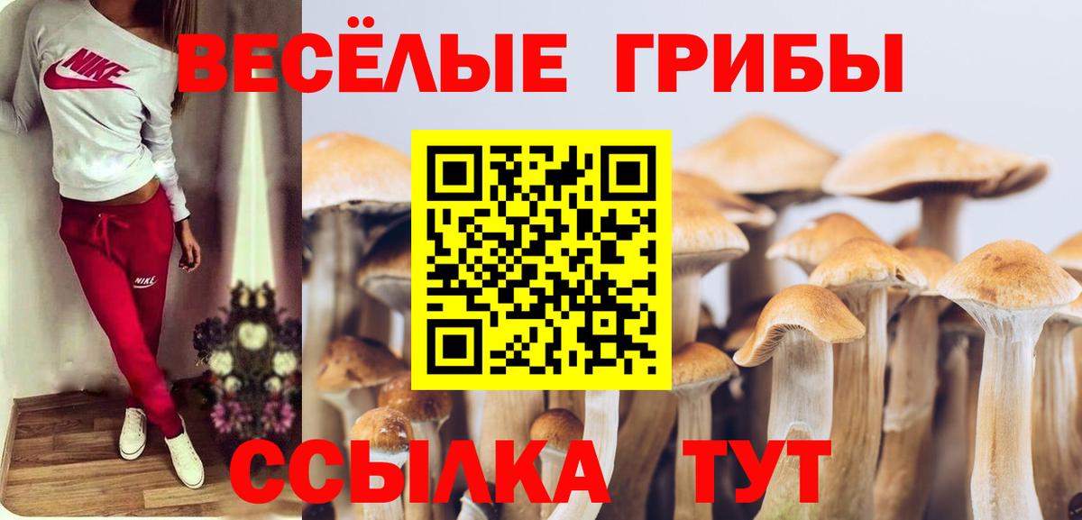 Псилоцибиновые грибы мицелий Батайск